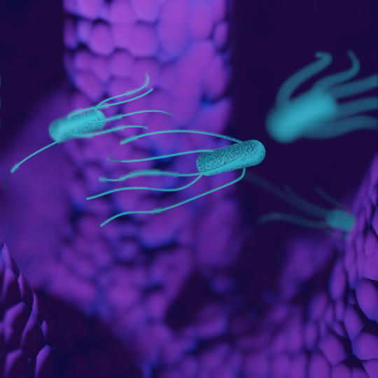 Bacteria with flagella