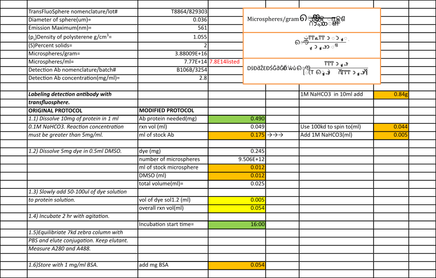 Conjugation protocol with antibodies and microspheres